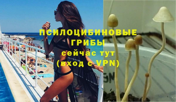 скорость Белокуриха