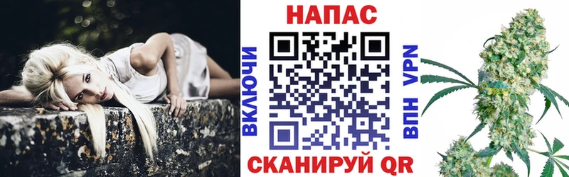 как найти   Кудрово  Марихуана гибрид 